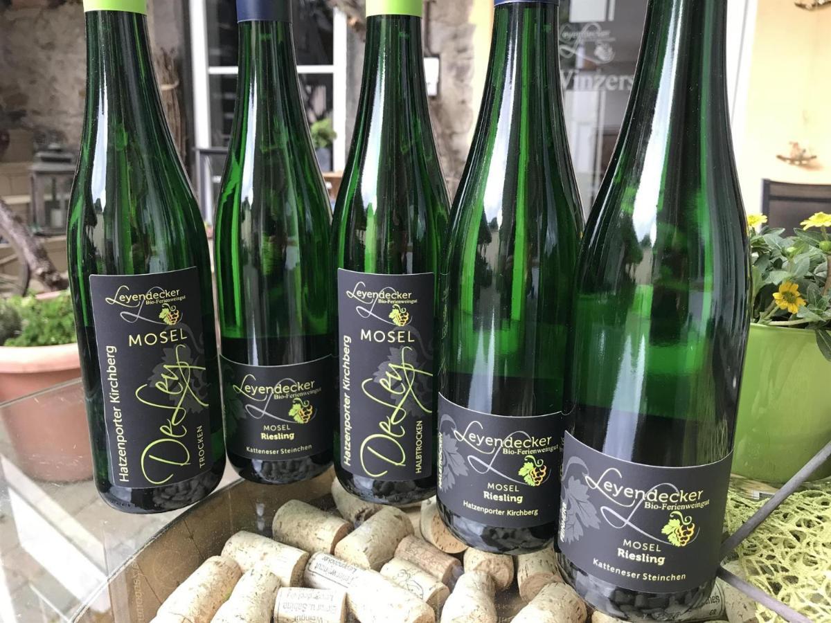 Bio-Ferienweingut Leyendecker Appartement Kattenes Buitenkant foto